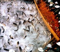 ɽ�|2013�O�I(y��)�l(f��)չ�L(f��ng)���(bi��o)���~��ω��K�C(j��)