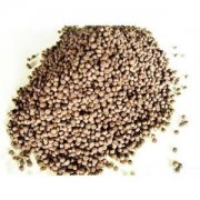 ���С���~��ω��K�C(j��)���Ƅ�(d��ng)�O�I(y��)�l(f��)չ��������