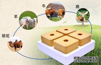 ��(y��u)�|(zh��)ţ����u�ăr��