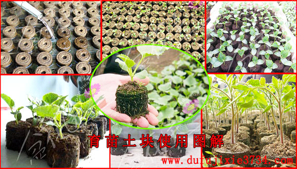 育苗塊使用圖解