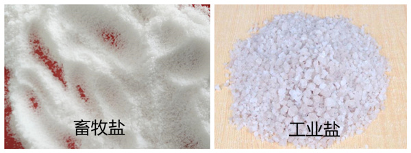 �����}�c���I(y��)�}�ą^(q��)�e