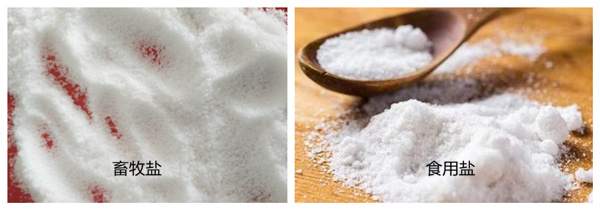 �����}�cʳ���}�^(q��)�e